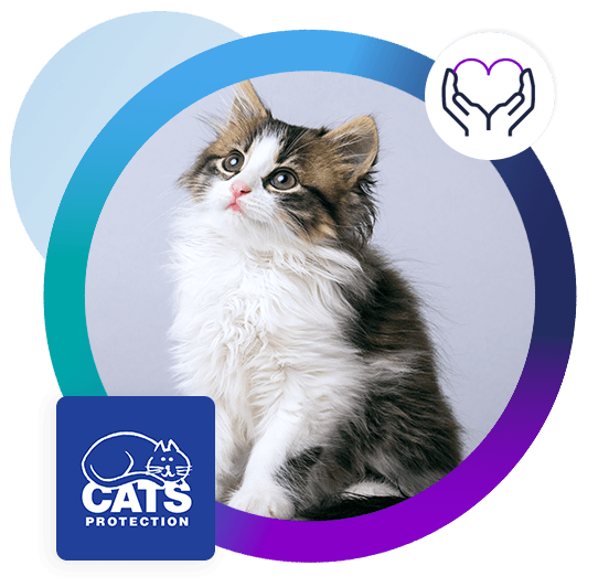 Cats Protection customer story